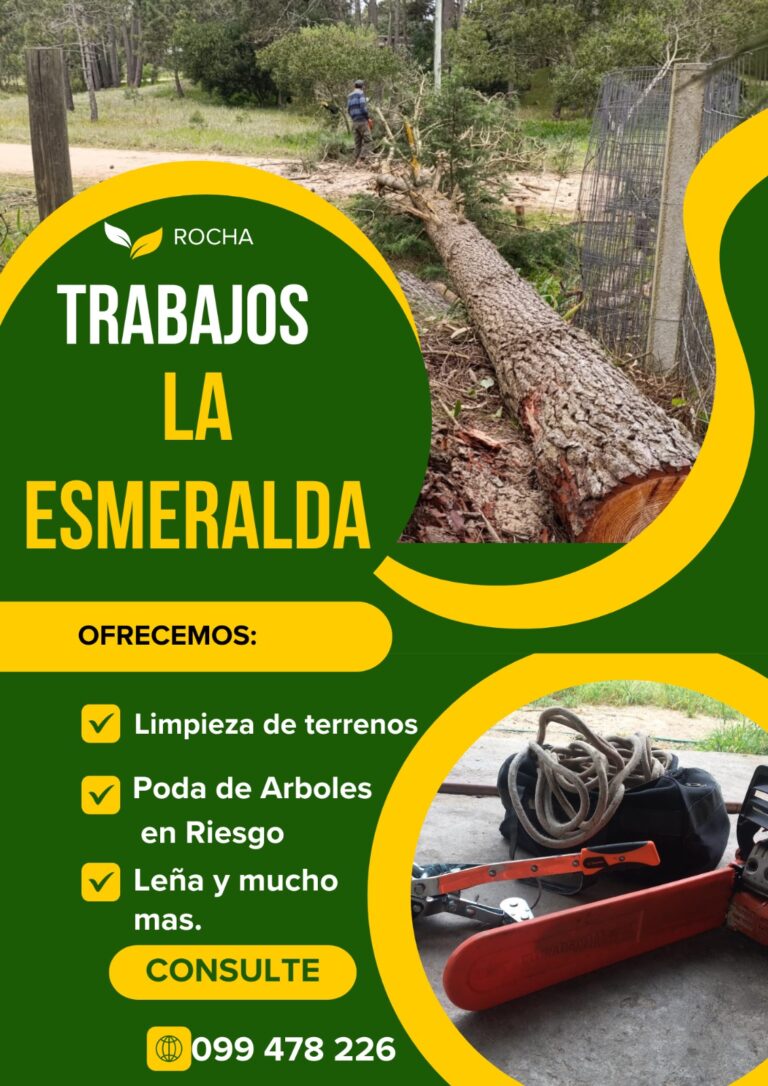 Trabajos_jardineria