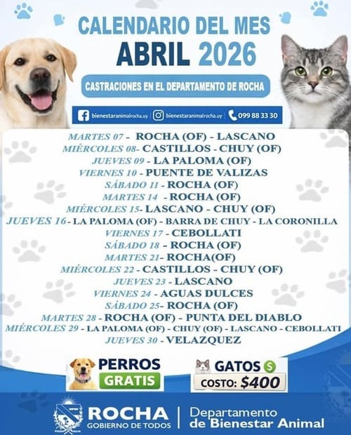 calendario_castraciones_rocha