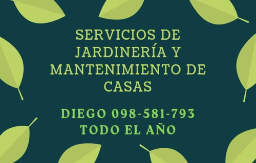 diego_jardineria