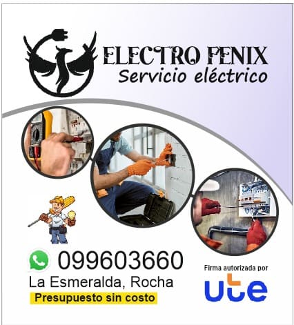 electrofenix_gonzalo