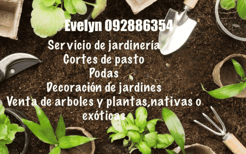 evelyn_jardineria