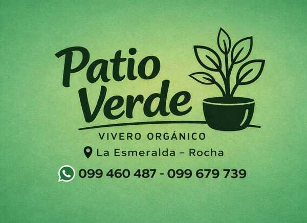 patio_verde